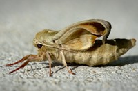 img9